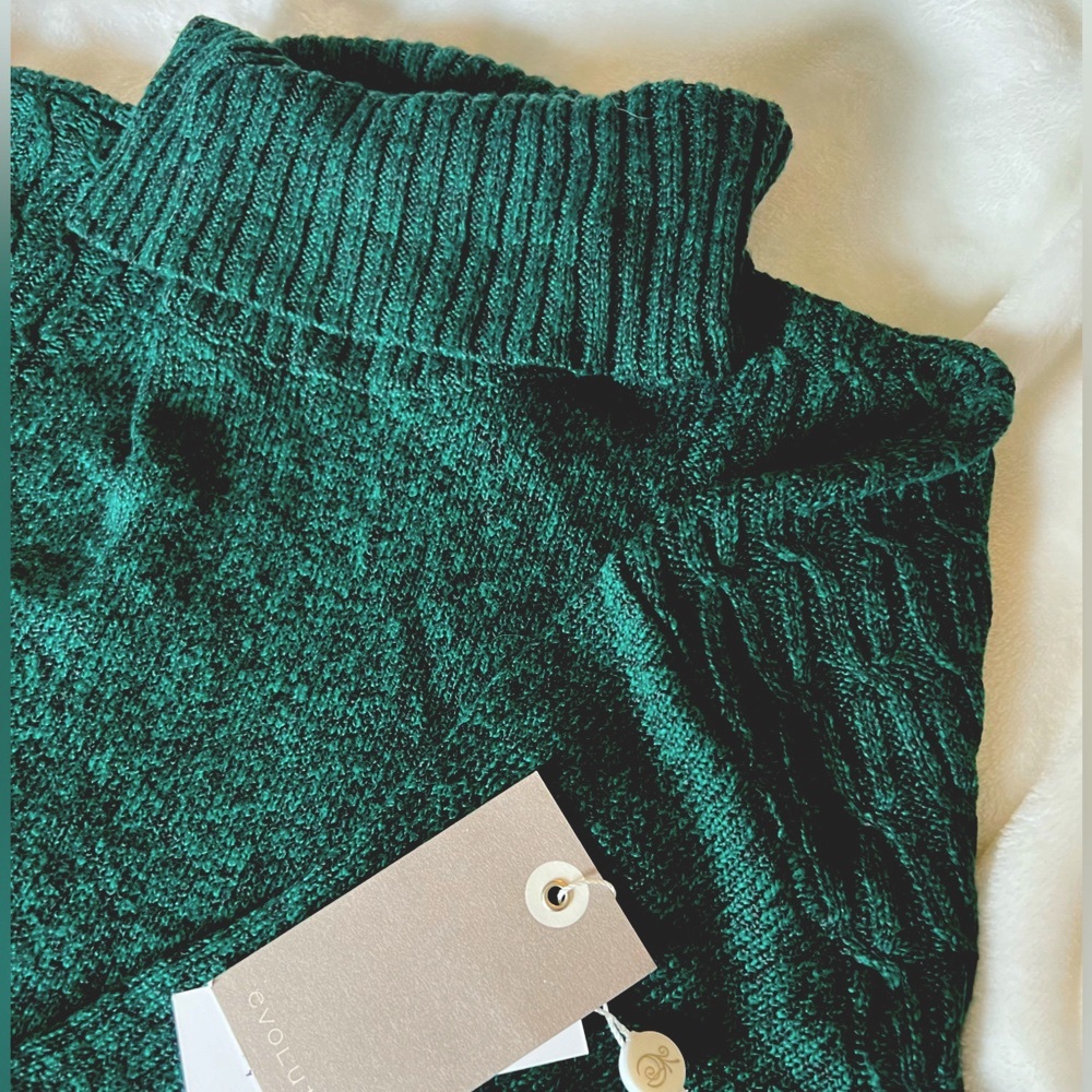 NWT EVOLUTION BY CYRUS Madi Marled Yarn Turtleneck Dark Green Medium